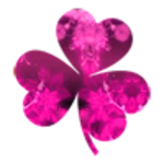 go launcher theme pink flowers android application logo